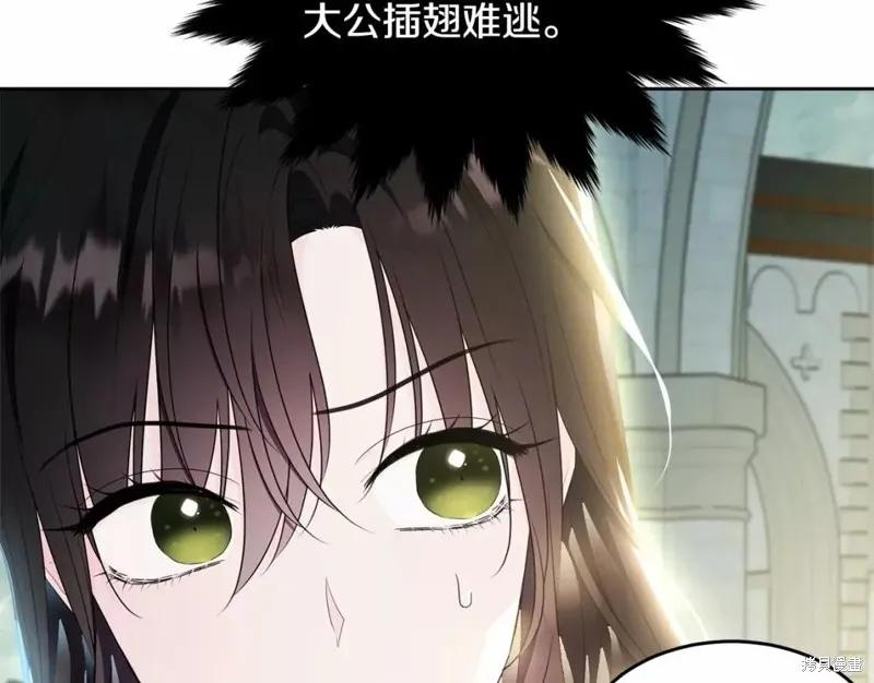 《明明是冷美人小姐却变成了忠犬大少爷》第110话 第214页
