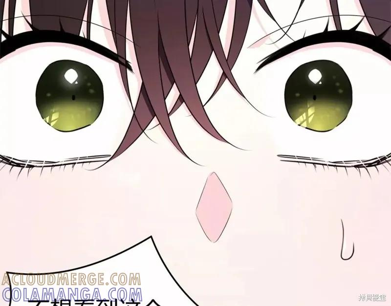 《明明是冷美人小姐却变成了忠犬大少爷》第110话 第245页