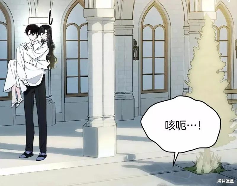 《明明是冷美人小姐却变成了忠犬大少爷》第110话 第239页