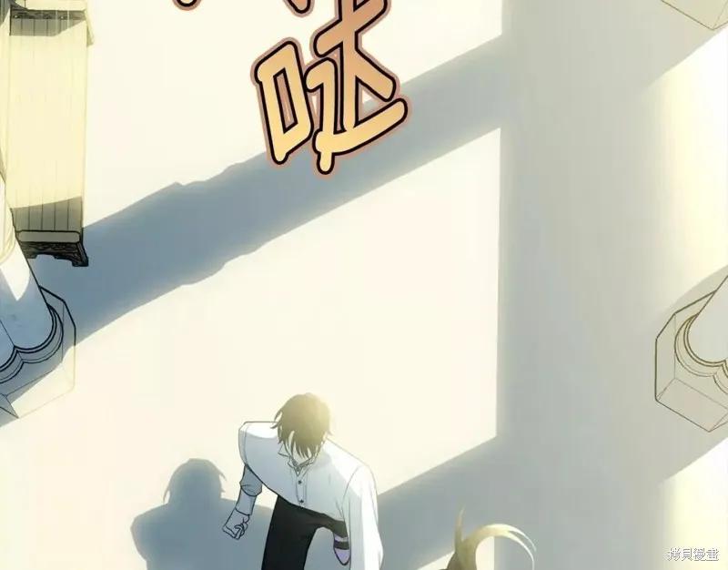《明明是冷美人小姐却变成了忠犬大少爷》第110话 第78页