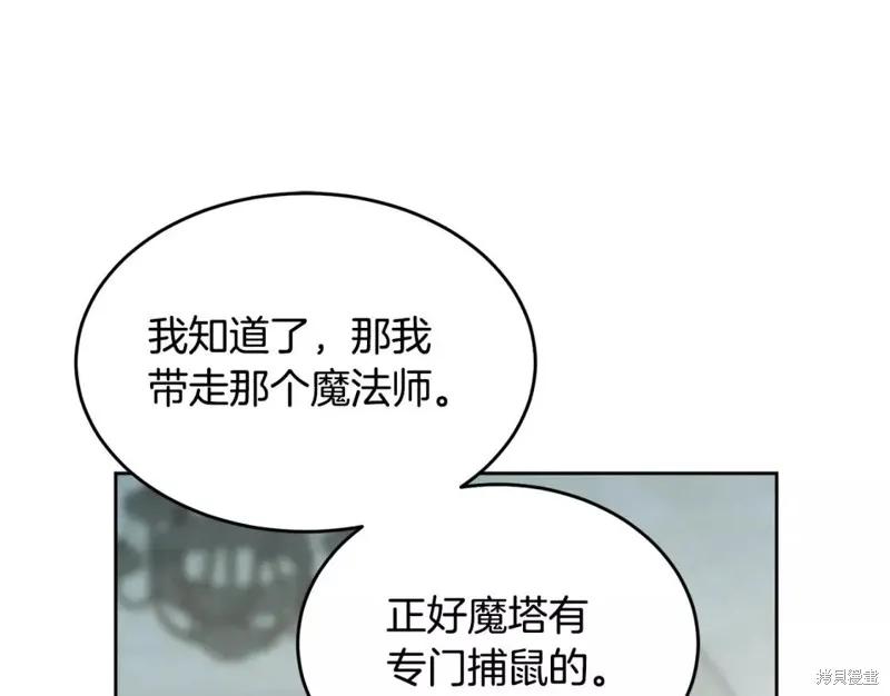 《明明是冷美人小姐却变成了忠犬大少爷》第111话 第72页