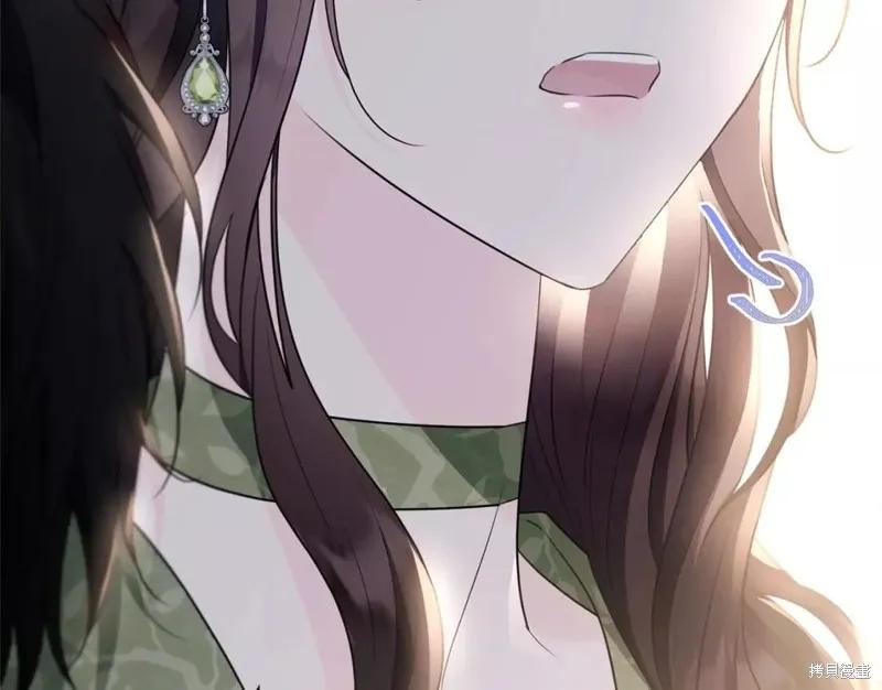 《明明是冷美人小姐却变成了忠犬大少爷》第111话 第206页