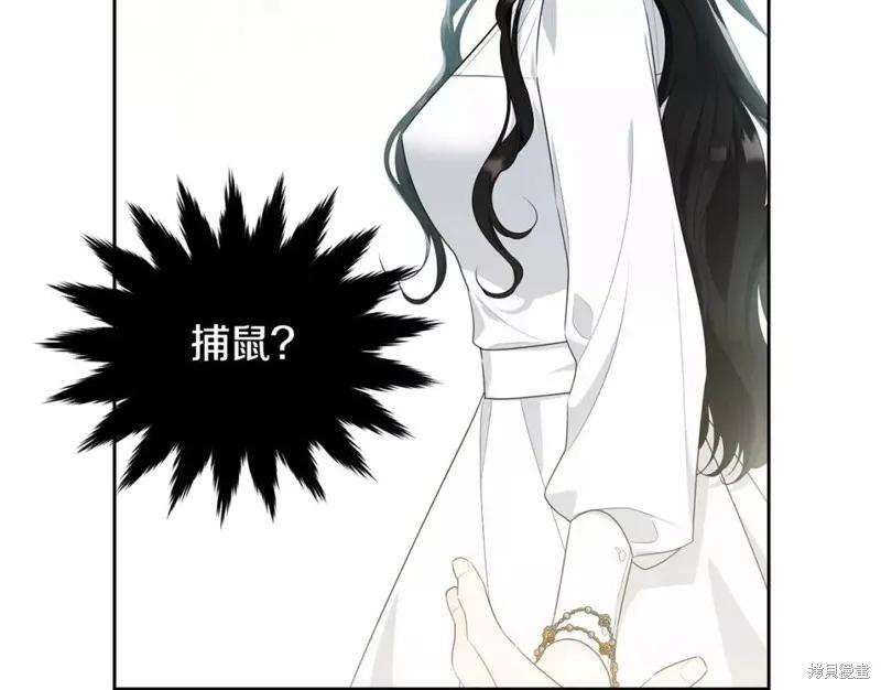 《明明是冷美人小姐却变成了忠犬大少爷》第111话 第74页