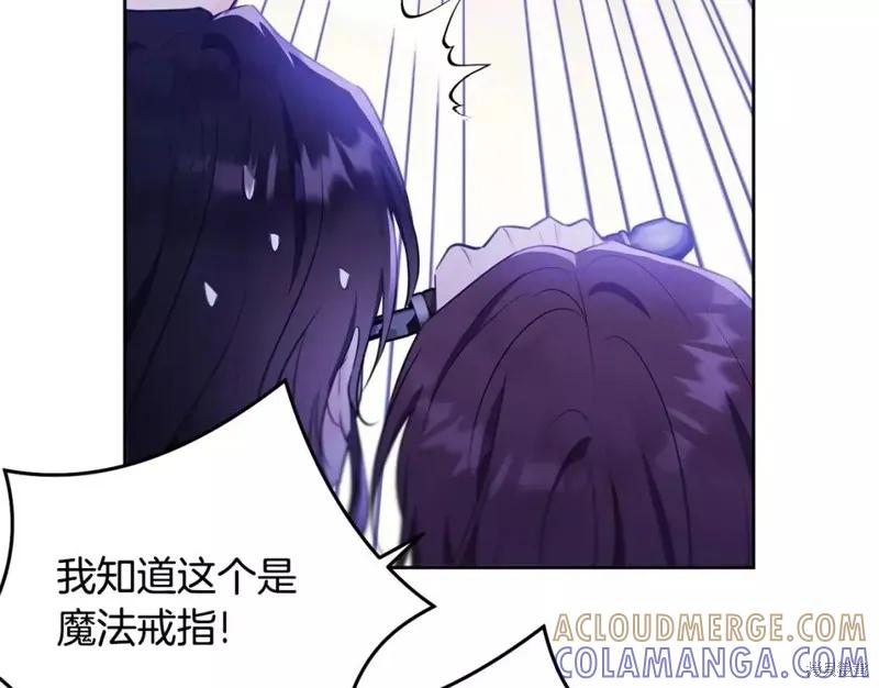 《明明是冷美人小姐却变成了忠犬大少爷》第111话 第17页