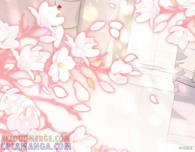 《明明是冷美人小姐却变成了忠犬大少爷》第111话 第101页