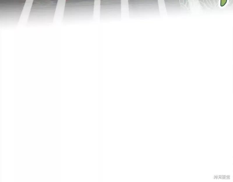 《明明是冷美人小姐却变成了忠犬大少爷》第111话 第211页