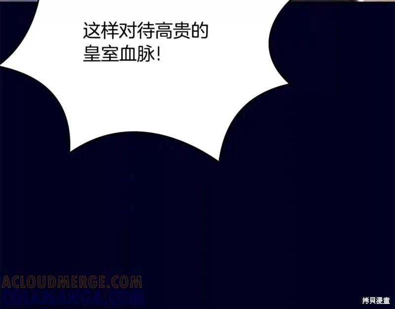 《明明是冷美人小姐却变成了忠犬大少爷》第111话 第141页