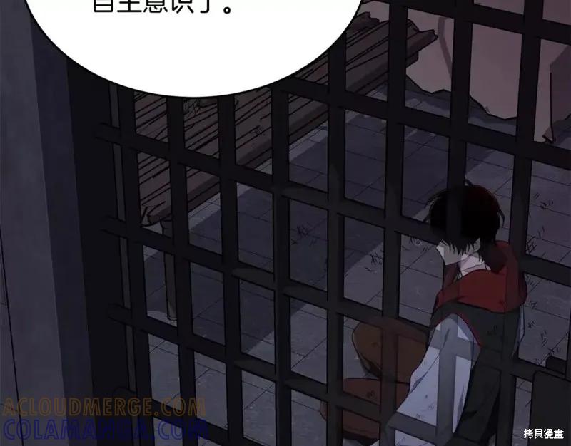 《明明是冷美人小姐却变成了忠犬大少爷》第111话 第189页