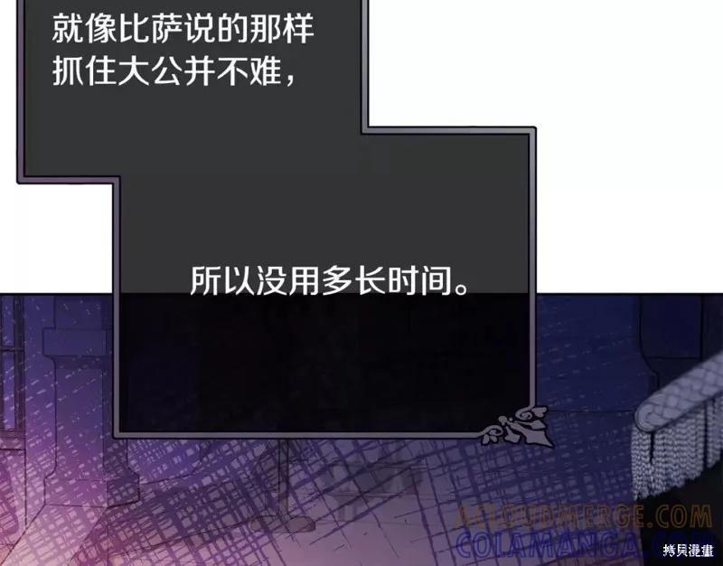 《明明是冷美人小姐却变成了忠犬大少爷》第111话 第113页