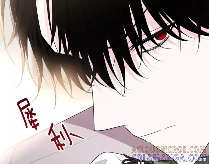 《明明是冷美人小姐却变成了忠犬大少爷》第111话 第213页