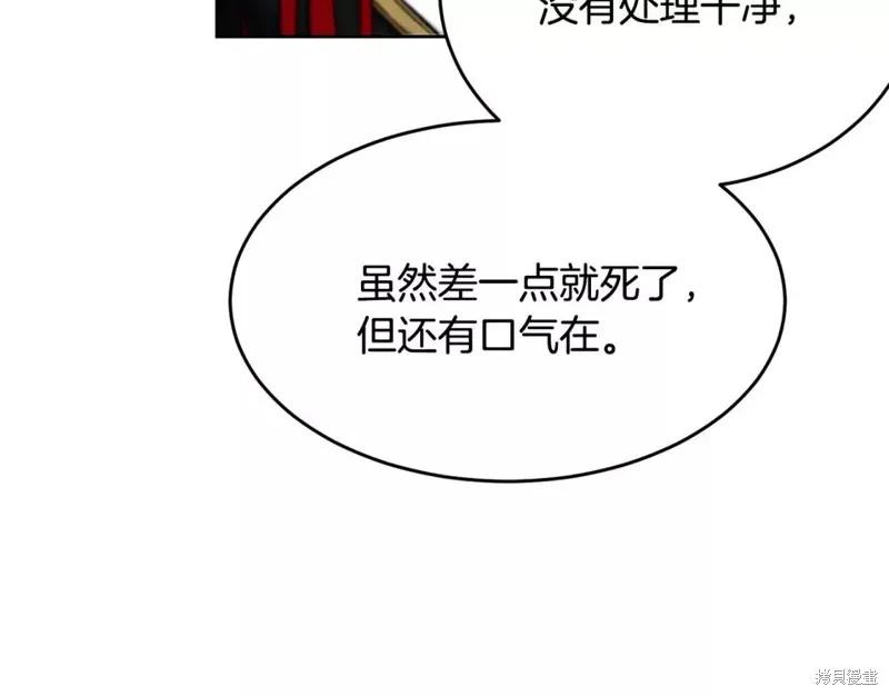 《明明是冷美人小姐却变成了忠犬大少爷》第111话 第164页