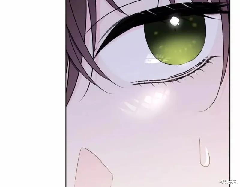 《明明是冷美人小姐却变成了忠犬大少爷》第112话 第23页