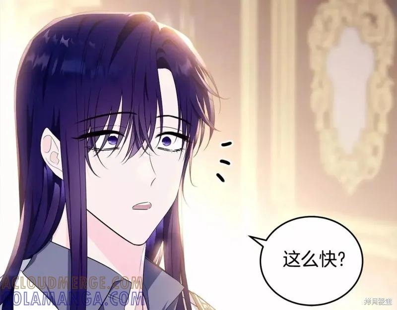 《明明是冷美人小姐却变成了忠犬大少爷》第112话 第213页