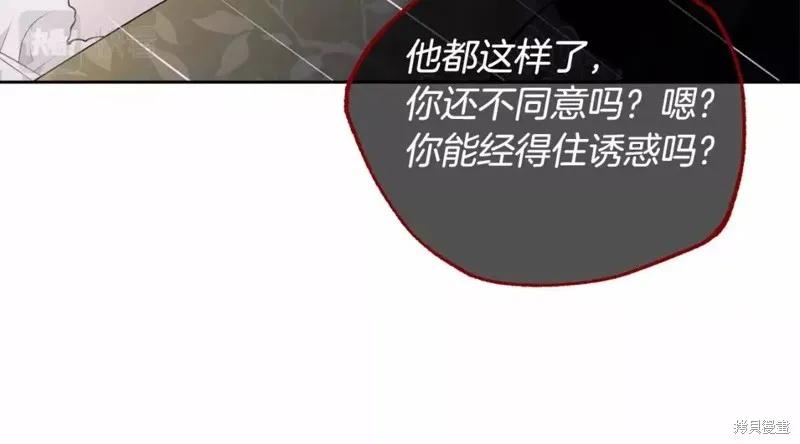《明明是冷美人小姐却变成了忠犬大少爷》第112话 第83页