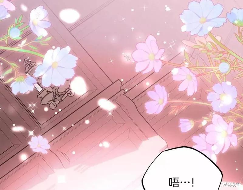 《明明是冷美人小姐却变成了忠犬大少爷》第112话 第52页