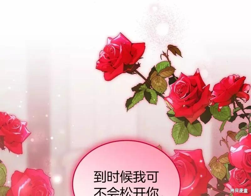 《明明是冷美人小姐却变成了忠犬大少爷》第112话 第107页