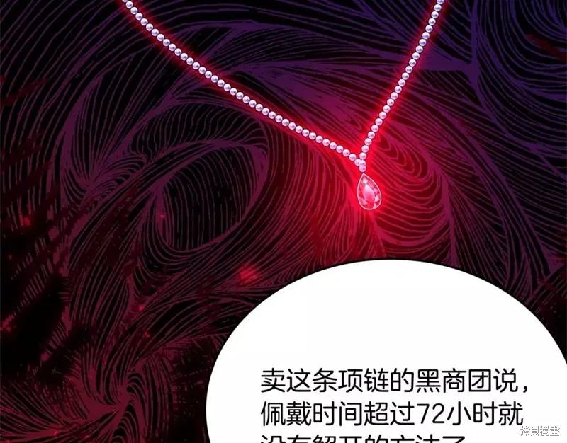 《明明是冷美人小姐却变成了忠犬大少爷》第112话 第162页