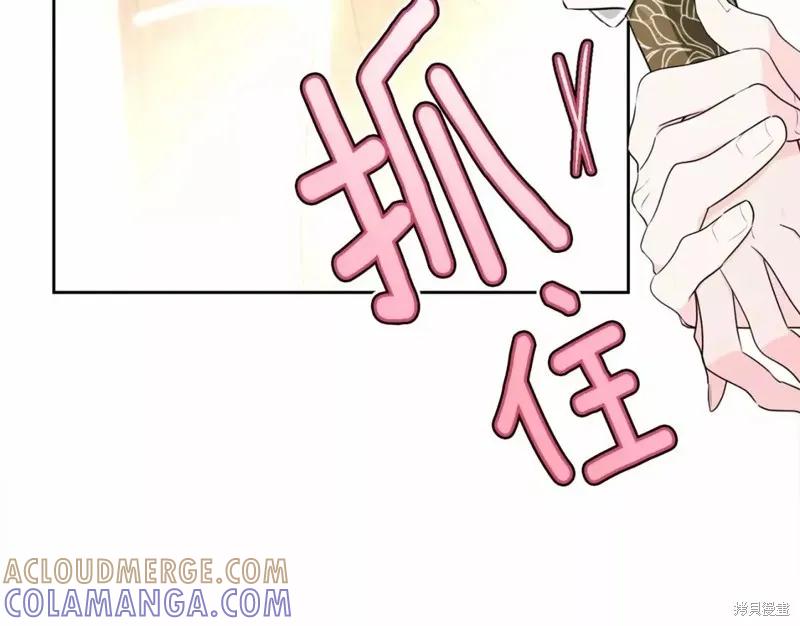 《明明是冷美人小姐却变成了忠犬大少爷》第112话 第93页
