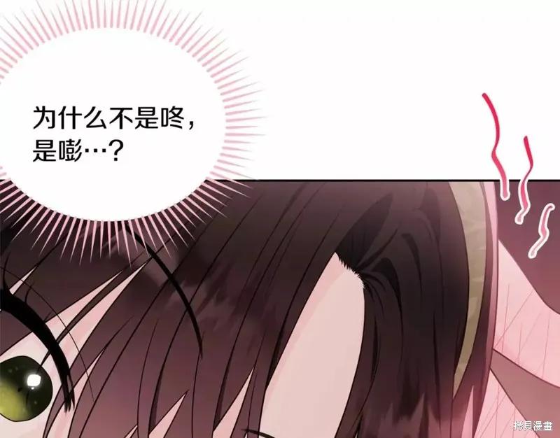 《明明是冷美人小姐却变成了忠犬大少爷》第112话 第200页