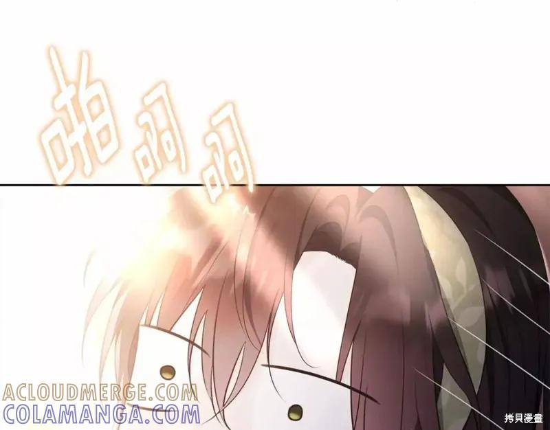 《明明是冷美人小姐却变成了忠犬大少爷》第112话 第81页