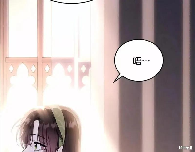 《明明是冷美人小姐却变成了忠犬大少爷》第113话 第110页