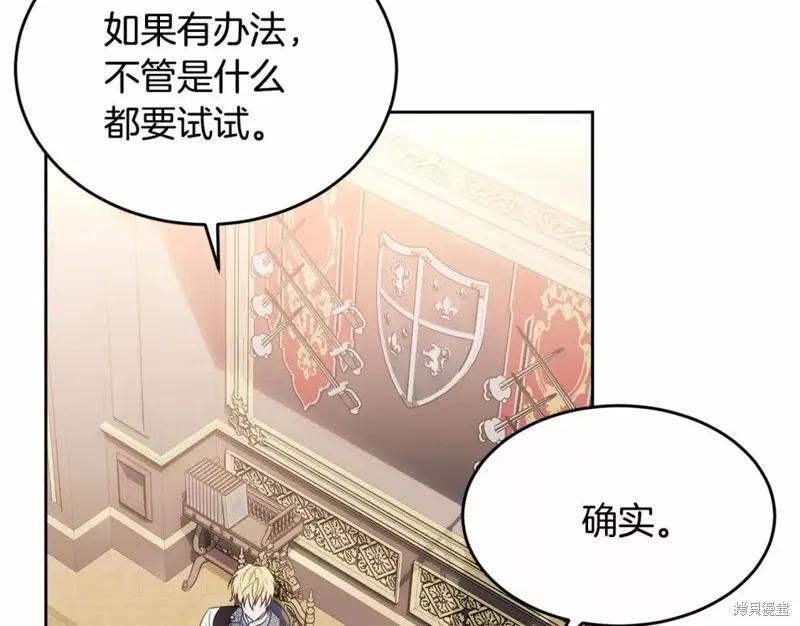 《明明是冷美人小姐却变成了忠犬大少爷》第113话 第239页