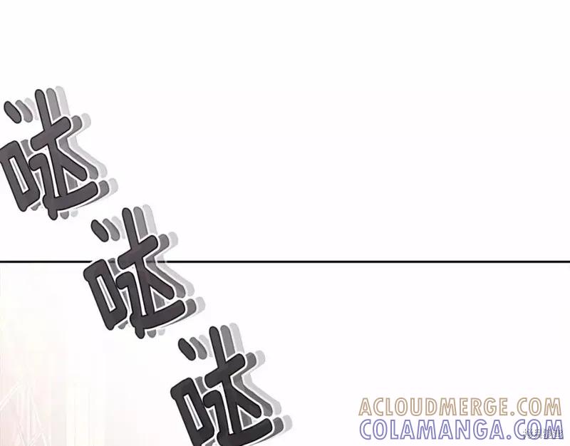 《明明是冷美人小姐却变成了忠犬大少爷》第113话 第253页