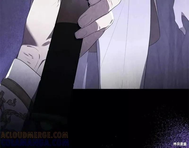 《明明是冷美人小姐却变成了忠犬大少爷》第113话 第61页