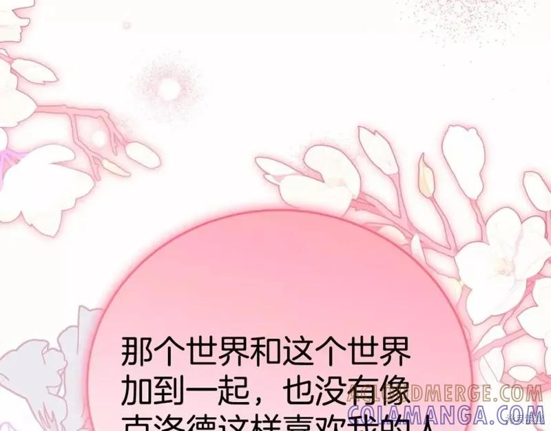 《明明是冷美人小姐却变成了忠犬大少爷》第113话 第117页