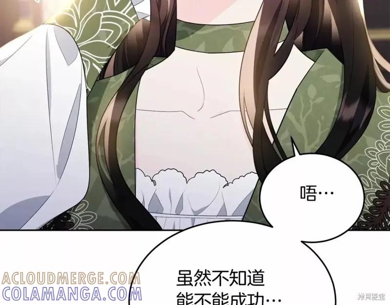 《明明是冷美人小姐却变成了忠犬大少爷》第113话 第237页