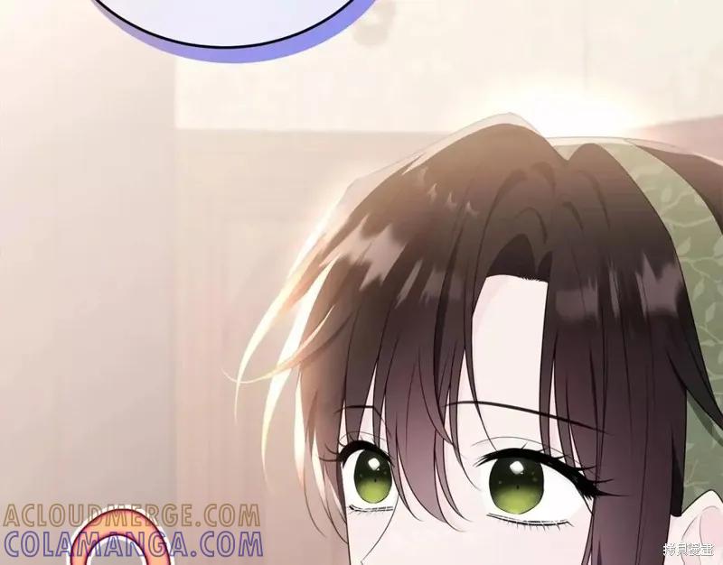 《明明是冷美人小姐却变成了忠犬大少爷》第113话 第137页
