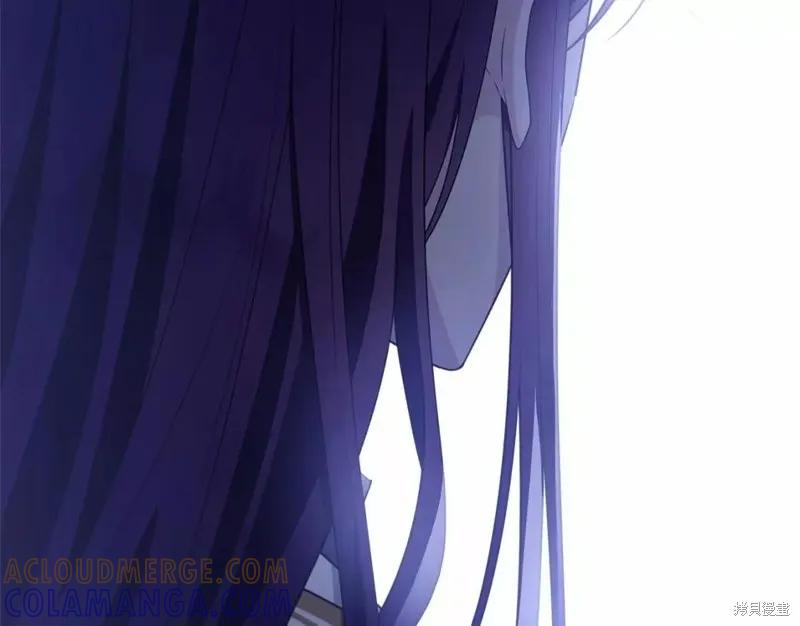 《明明是冷美人小姐却变成了忠犬大少爷》第113话 第205页