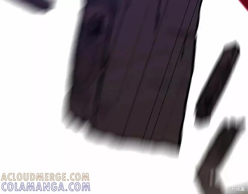《明明是冷美人小姐却变成了忠犬大少爷》第114话 第221页