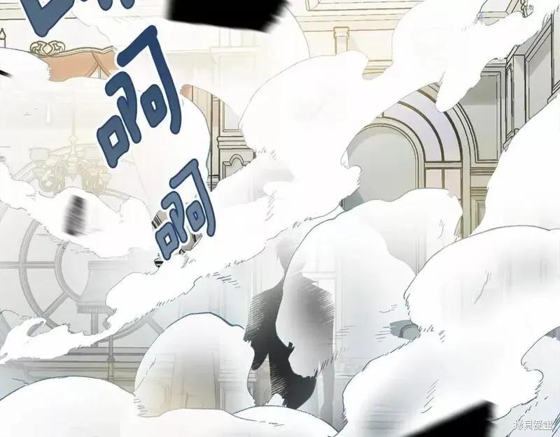 《明明是冷美人小姐却变成了忠犬大少爷》第114话 第227页