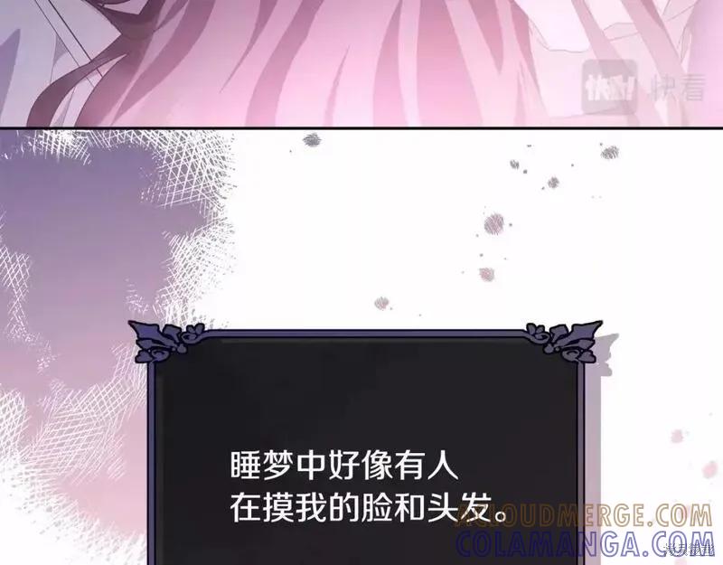 《明明是冷美人小姐却变成了忠犬大少爷》第114话 第69页