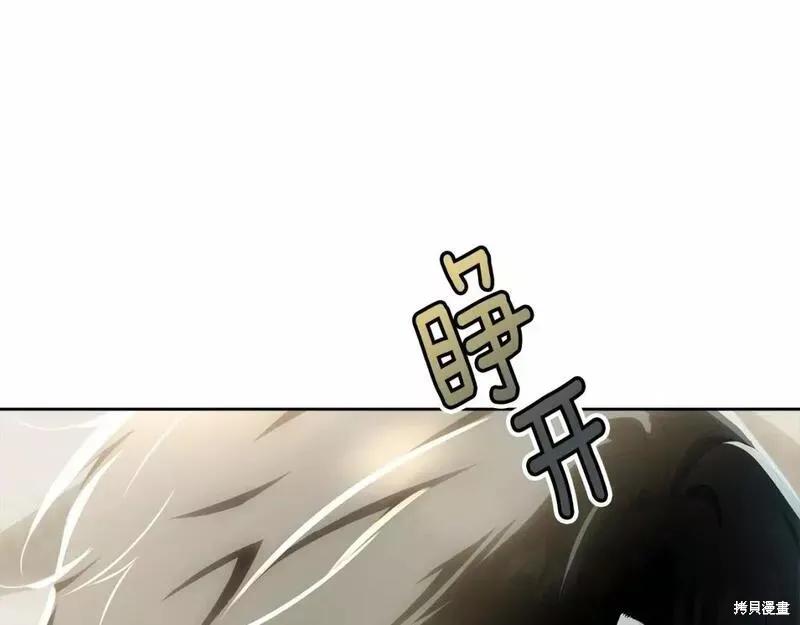 《明明是冷美人小姐却变成了忠犬大少爷》第114话 第75页
