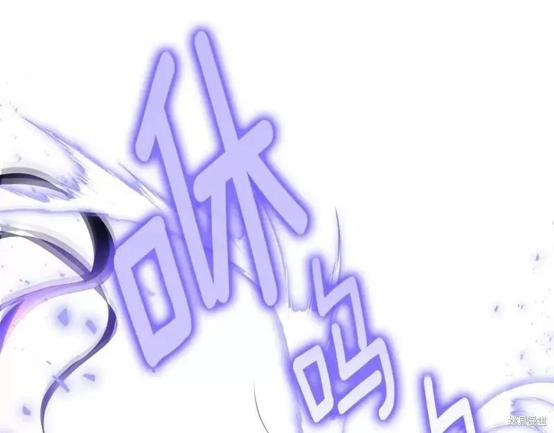《明明是冷美人小姐却变成了忠犬大少爷》第114话 第215页