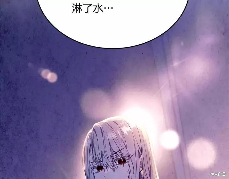 《明明是冷美人小姐却变成了忠犬大少爷》第114话 第52页