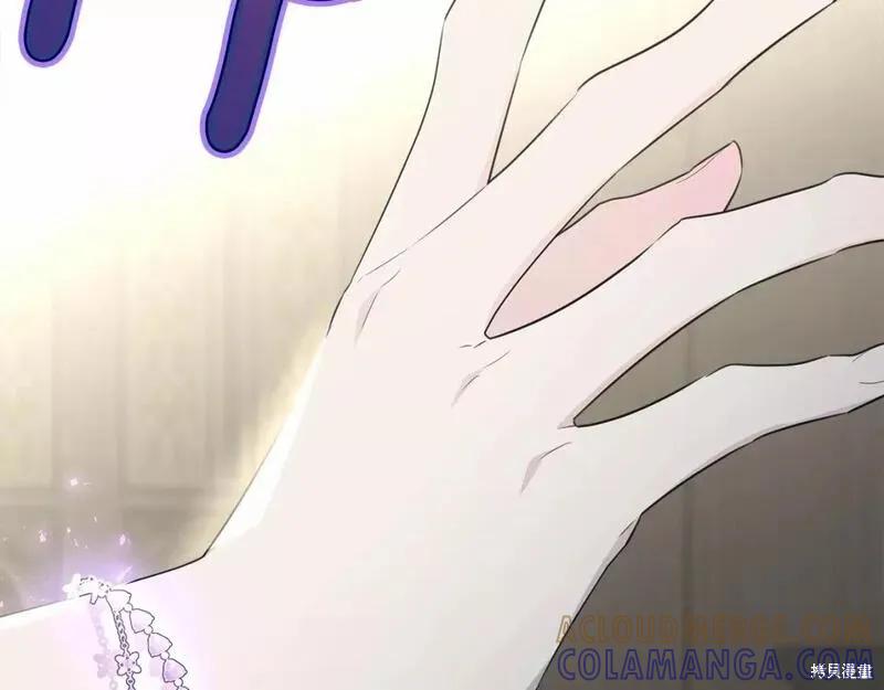《明明是冷美人小姐却变成了忠犬大少爷》第114话 第213页