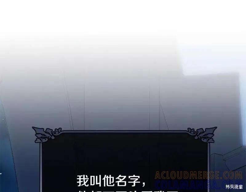 《明明是冷美人小姐却变成了忠犬大少爷》第114话 第13页