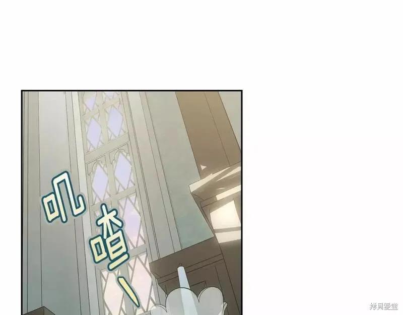 《明明是冷美人小姐却变成了忠犬大少爷》第114话 第164页