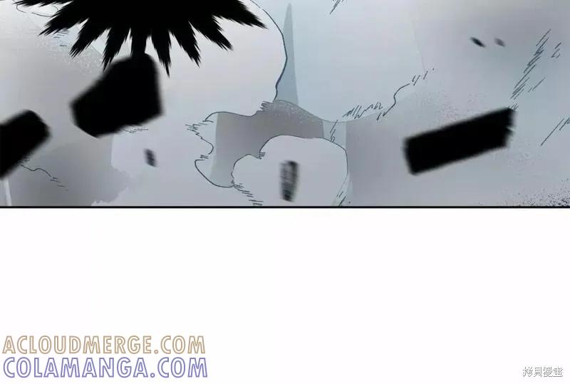 《明明是冷美人小姐却变成了忠犬大少爷》第114话 第225页