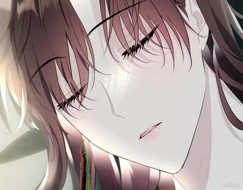 《明明是冷美人小姐却变成了忠犬大少爷》第114话 第115页