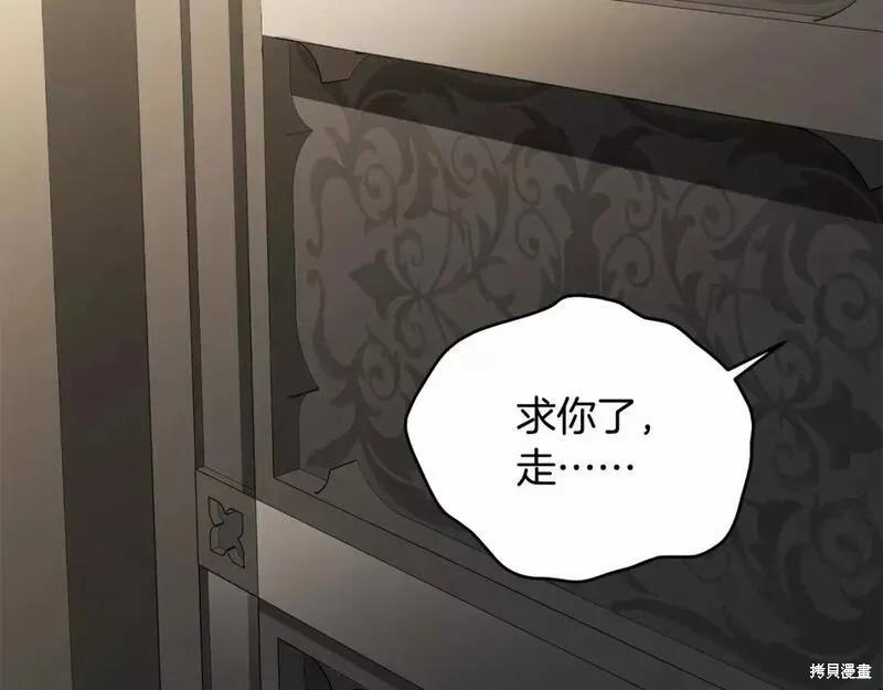 《明明是冷美人小姐却变成了忠犬大少爷》第114话 第196页
