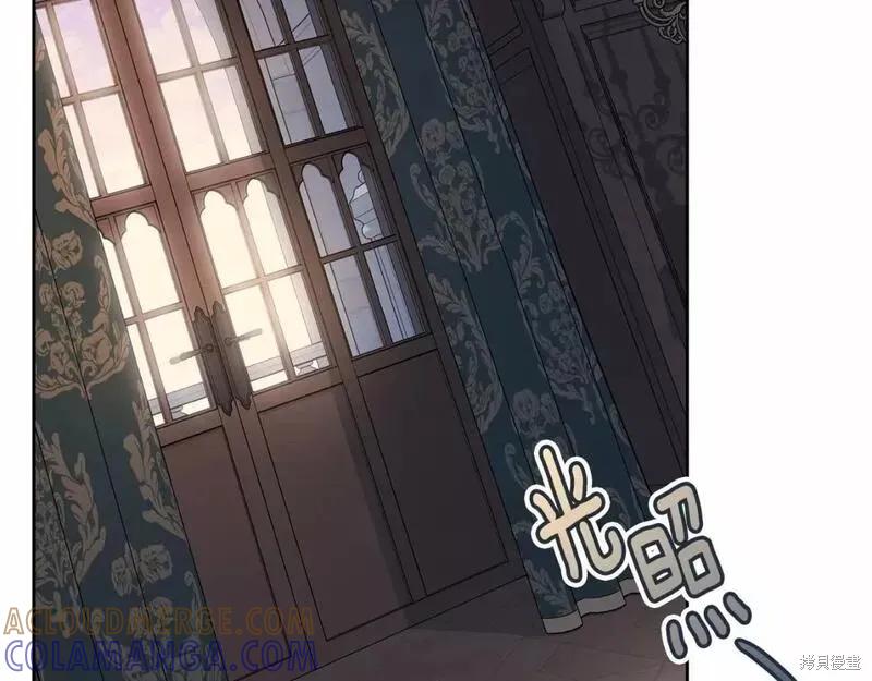 《明明是冷美人小姐却变成了忠犬大少爷》第114话 第73页