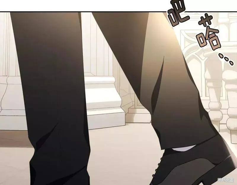《明明是冷美人小姐却变成了忠犬大少爷》第116话 第48页