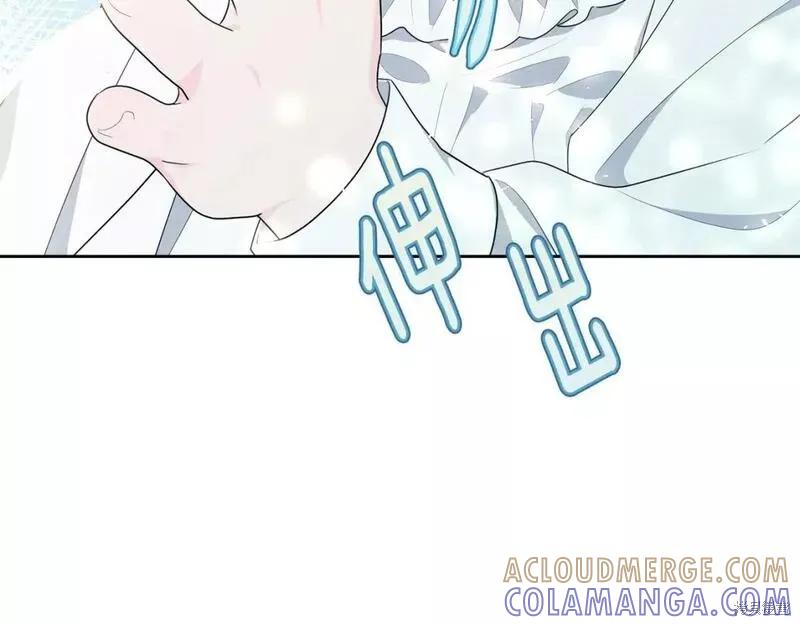《明明是冷美人小姐却变成了忠犬大少爷》第116话 第149页