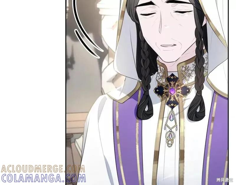 《明明是冷美人小姐却变成了忠犬大少爷》第116话 第17页