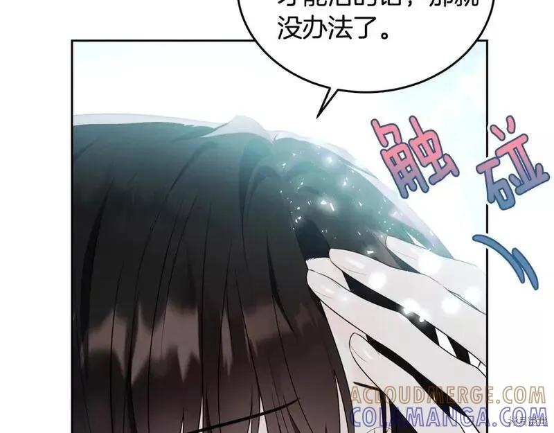 《明明是冷美人小姐却变成了忠犬大少爷》第116话 第157页