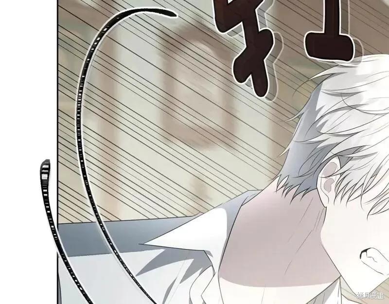 《明明是冷美人小姐却变成了忠犬大少爷》第116话 第80页